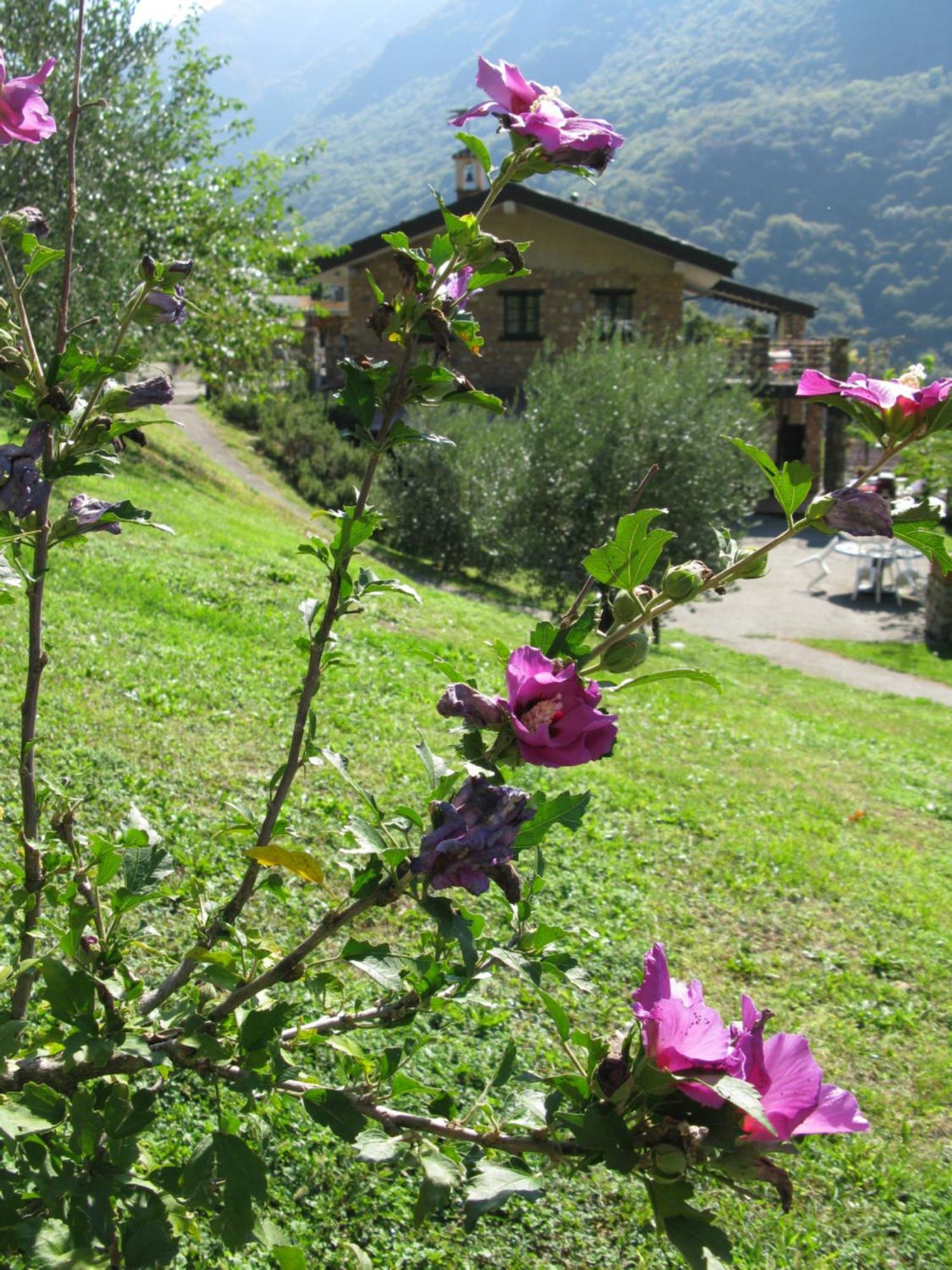 Chalet Della Rota Marone Extérieur photo